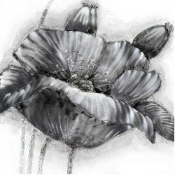 Aluminium Wandbild Blüte 80cm x 80cm
